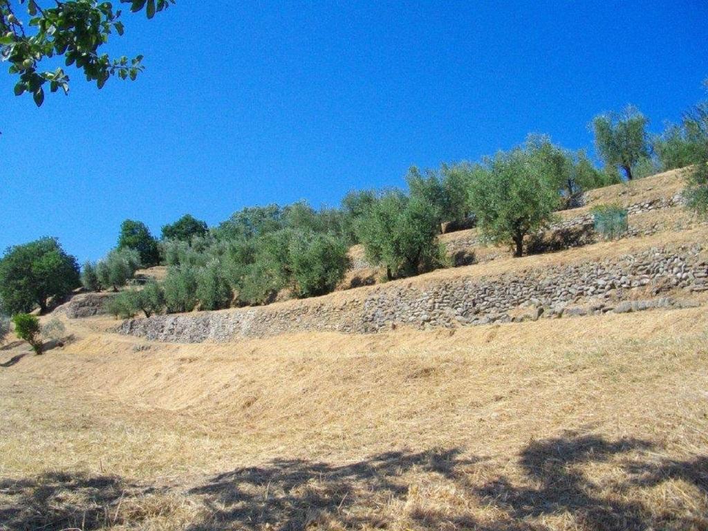Agriturismo Terrarossa Pistoia Exterior foto