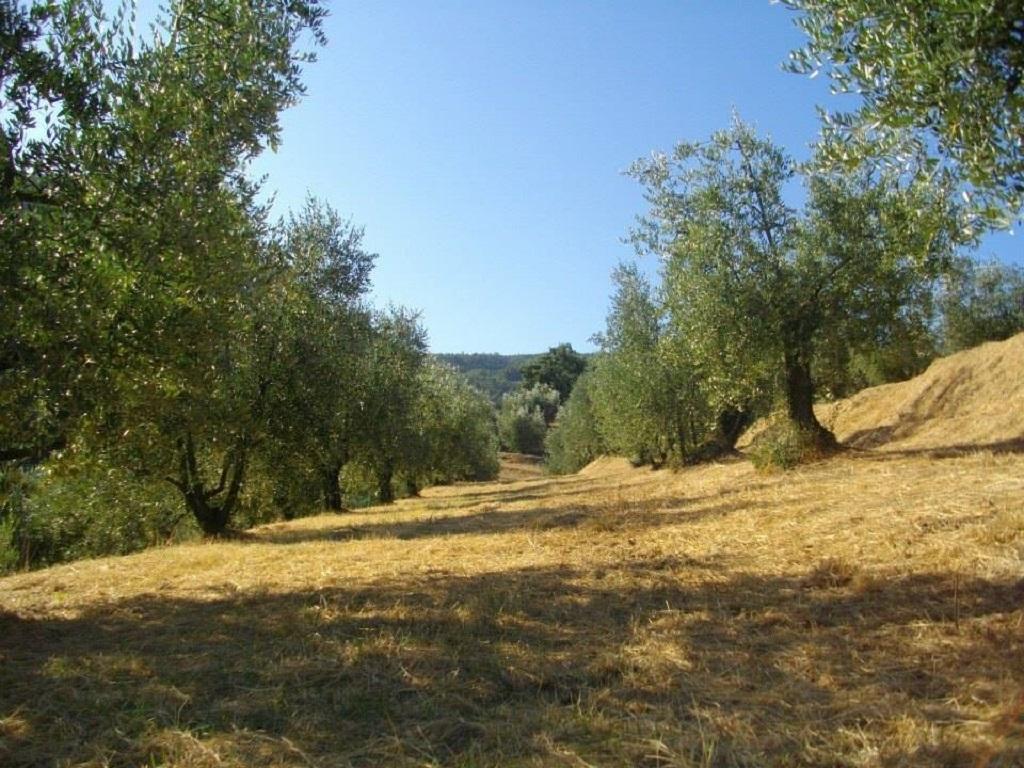 Agriturismo Terrarossa Pistoia Exterior foto